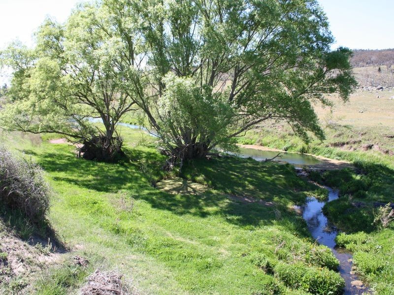 37 Snowy Creek Avenue, Cooma NSW 2630