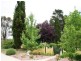 532 Snowy Mountains Highway, Cooma NSW 2630