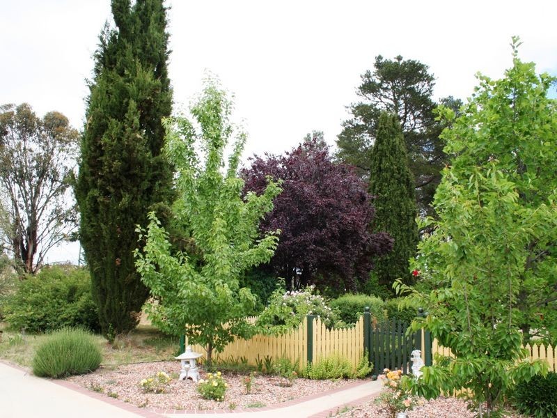 532 Snowy Mountains Highway, Cooma NSW 2630