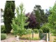 532 Snowy Mountains Highway, Cooma NSW 2630