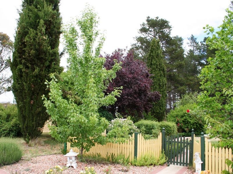 532 Snowy Mountains Highway, Cooma NSW 2630