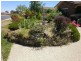 17 Tulong Avenue, Cooma NSW 2630