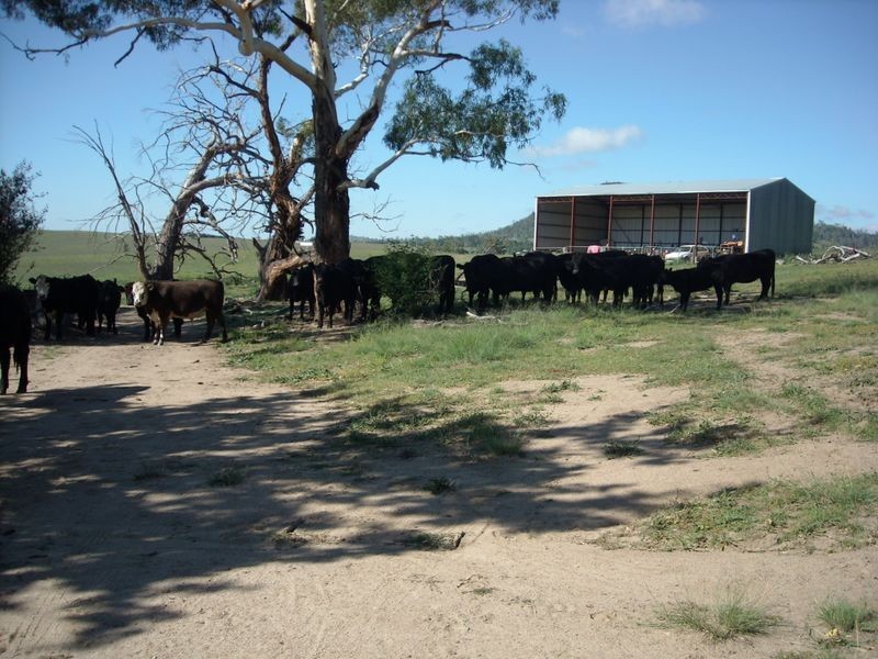 283 Murrells road, Bunyan NSW 2630