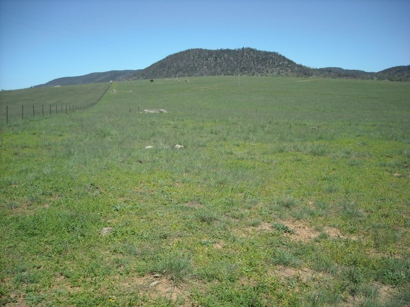 283 Murrells road, Bunyan NSW 2630