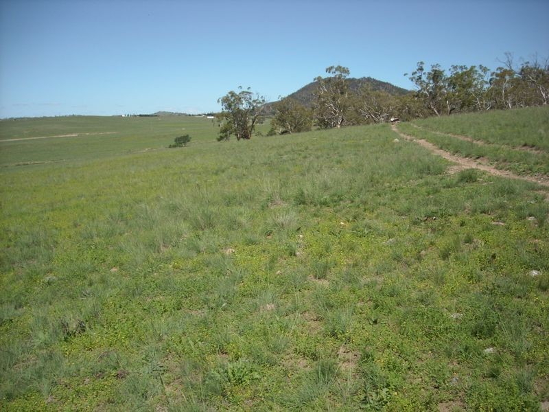 283 Murrells road, Bunyan NSW 2630
