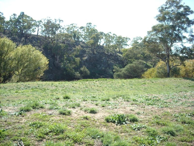 283 Murrells road, Bunyan NSW 2630