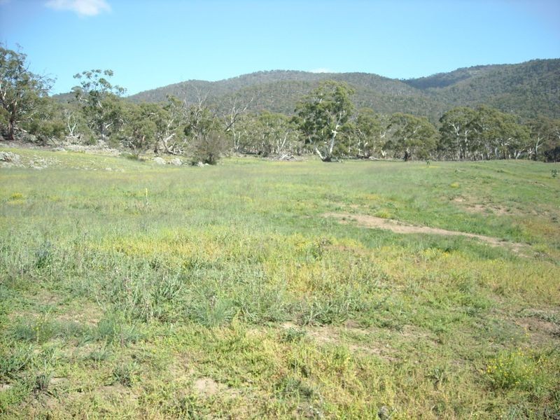 283 Murrells road, Bunyan NSW 2630