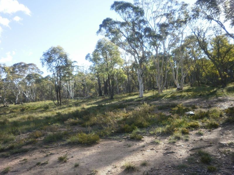 119 Numeralla road, Numeralla NSW 2630