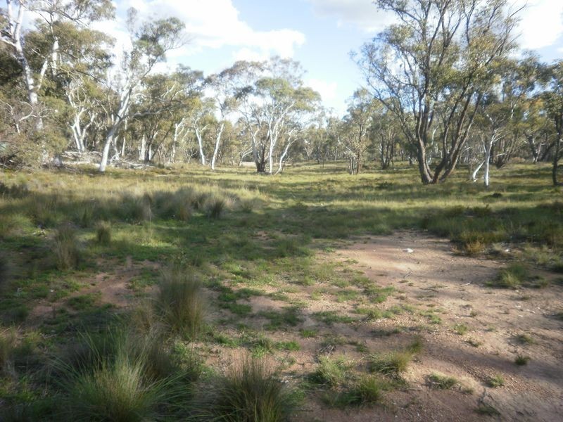 119 Numeralla road, Numeralla NSW 2630