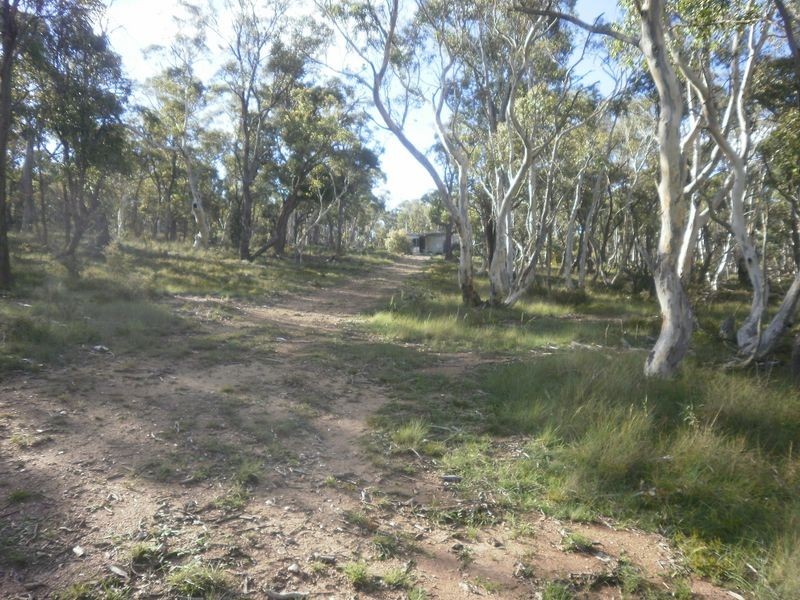 119 Numeralla road, Numeralla NSW 2630