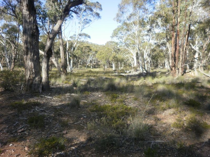 119 Numeralla road, Numeralla NSW 2630