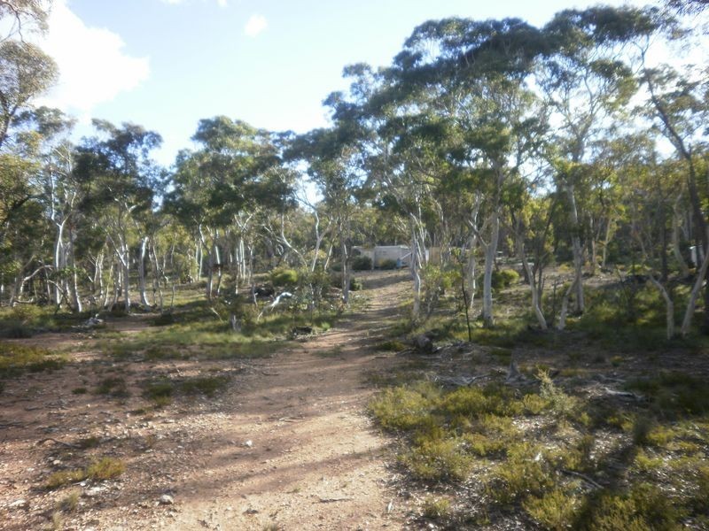 119 Numeralla road, Numeralla NSW 2630