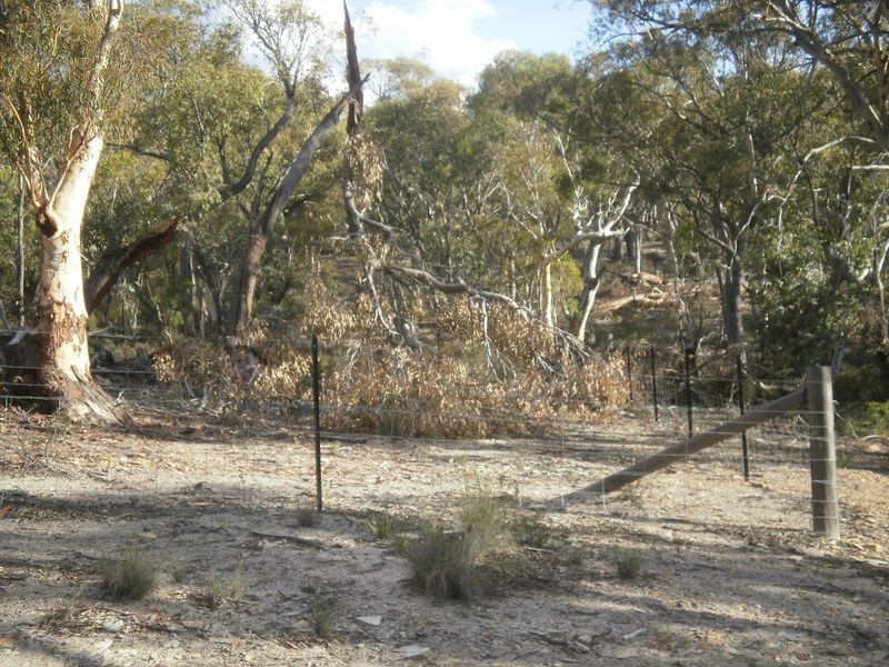 119 Numeralla road, Numeralla NSW 2630