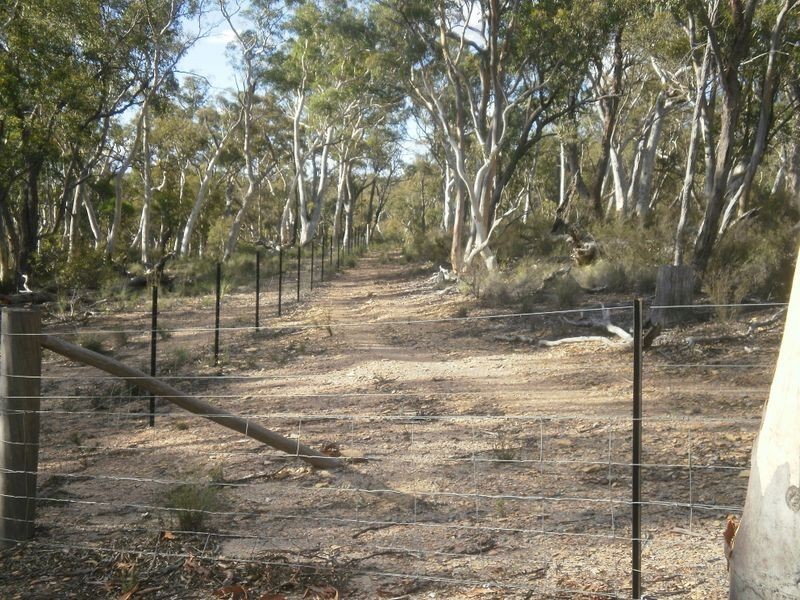 119 Numeralla road, Numeralla NSW 2630