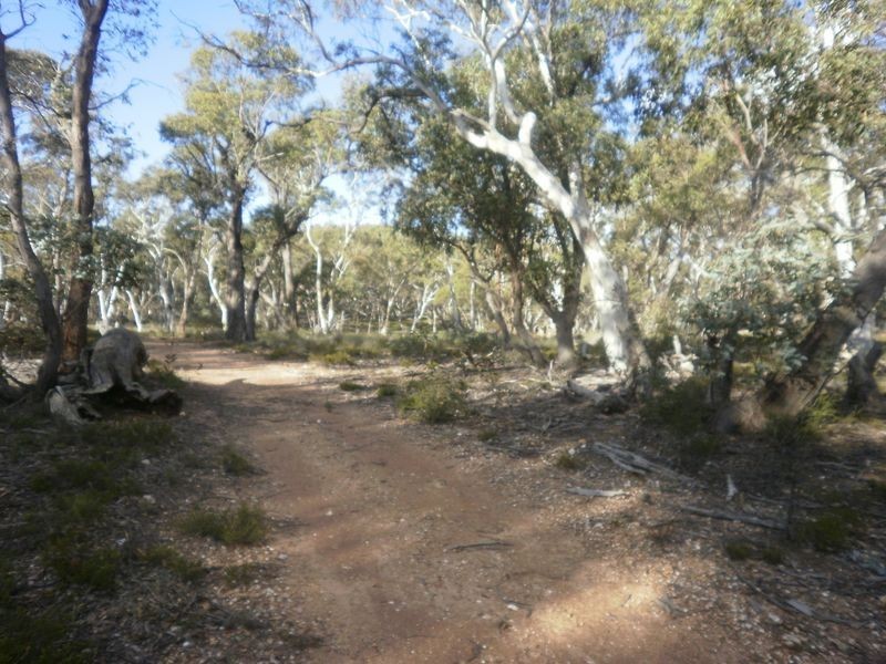 119 Numeralla road, Numeralla NSW 2630