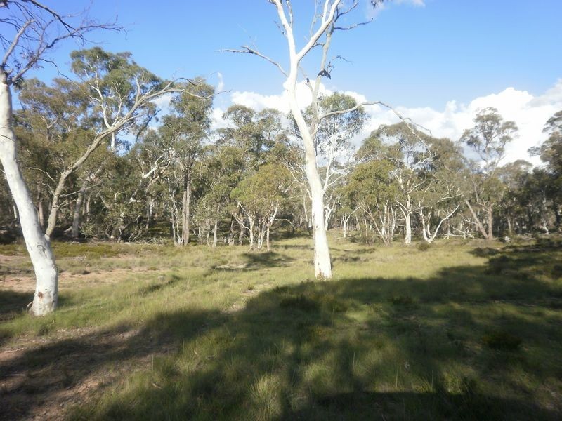 119 Numeralla road, Numeralla NSW 2630