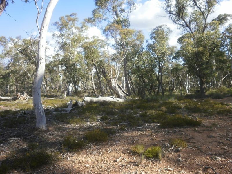 119 Numeralla road, Numeralla NSW 2630