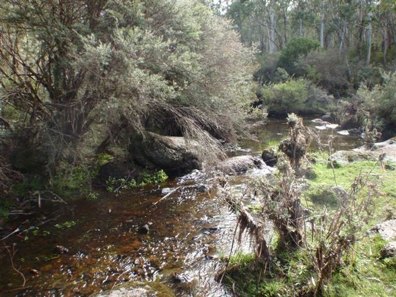 197 New Line Road, Ando NSW 2631