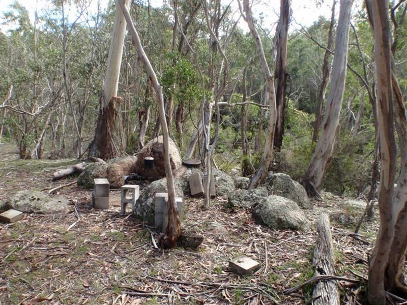 197 New Line Road, Ando NSW 2631