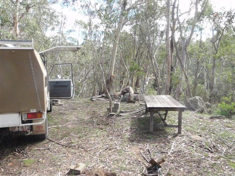 197 New Line Road, Ando NSW 2631