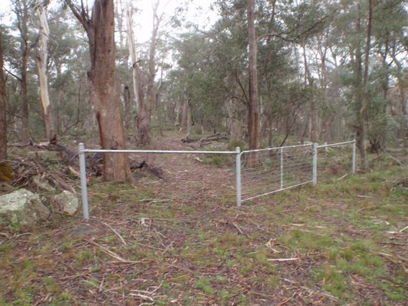 197 New Line Road, Ando NSW 2631