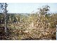 Lot 146 Newline Road, Nimmitabel NSW 2631