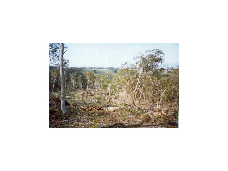Lot 146 Newline Road, Nimmitabel NSW 2631