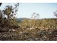Lot 146 Newline Road, Nimmitabel NSW 2631