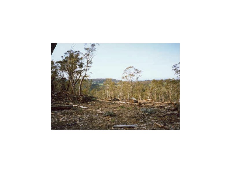 Lot 146 Newline Road, Nimmitabel NSW 2631