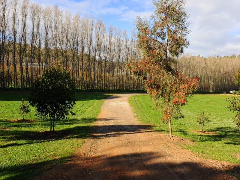 41 Bahen Road, Hacketts Gully WA 6076