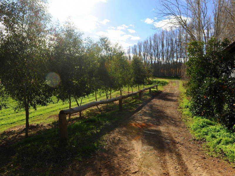 41 Bahen Road, Hacketts Gully WA 6076