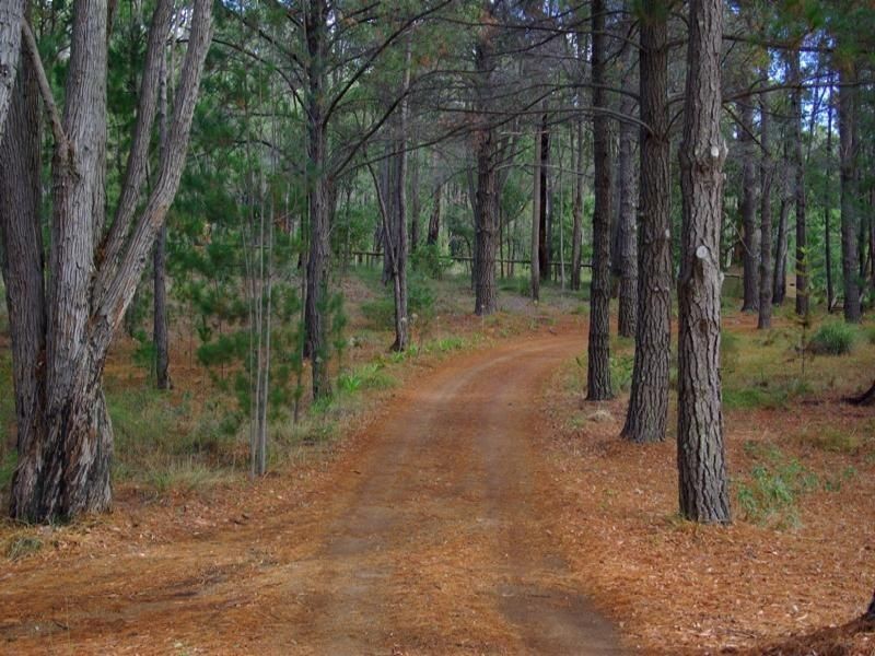 85 Carinyah Road, Pickering Brook WA 6076