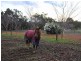 198 Burgess Road, Gidgegannup WA 6083
