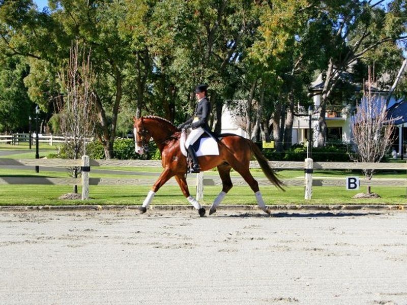 16 Easter Brook Place, Wattle Grove WA 6107