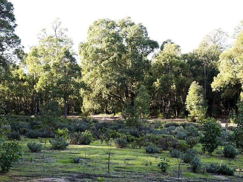 143 Bahen Road, Hacketts Gully WA 6076