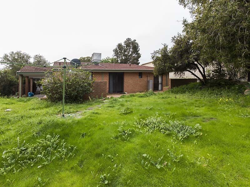 10 Bellbird Court, High Wycombe WA 6057