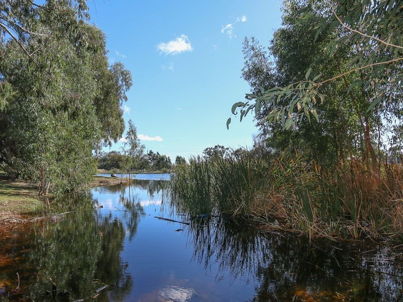 55 Gillings Parade, Wattle Grove WA 6107