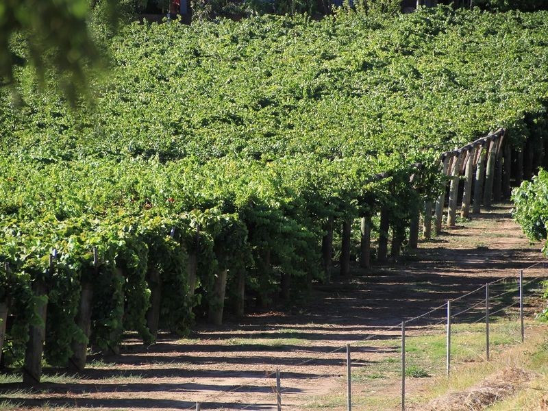 40 – 46 Weld Street, Swan View WA 6056