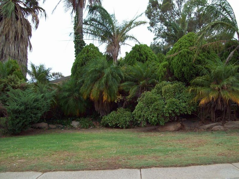 4 Essex Street, Forrestfield WA 6058