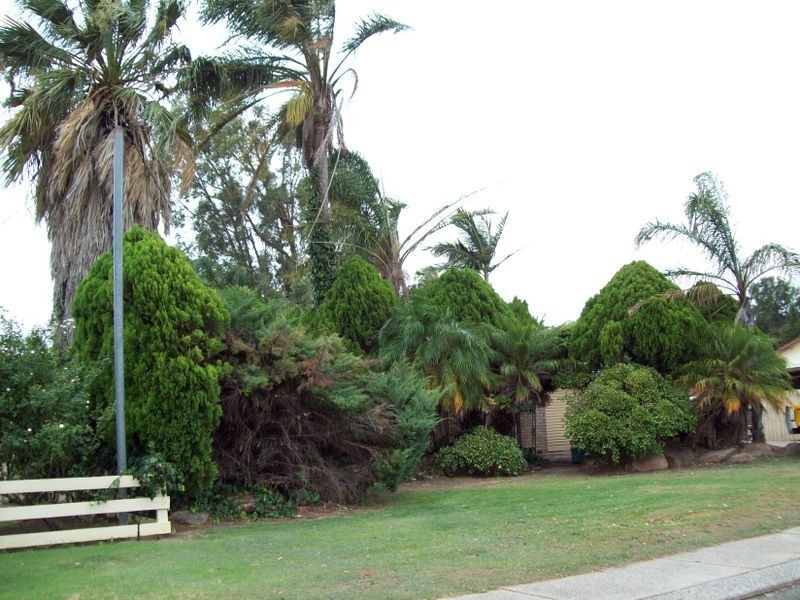 4 Essex Street, Forrestfield WA 6058