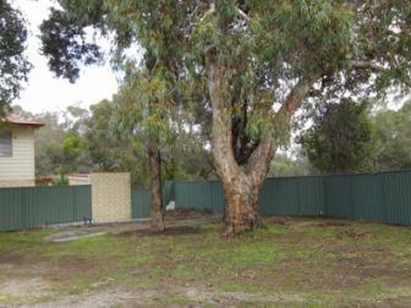 3 Pitt Street, Baskerville WA 6056