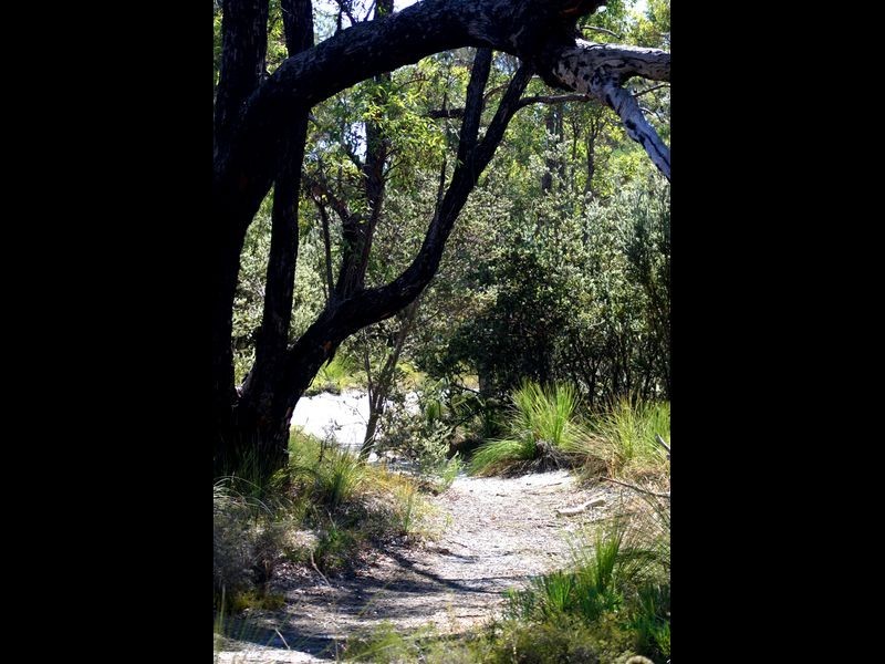 568 Kalamunda Road, High Wycombe WA 6057