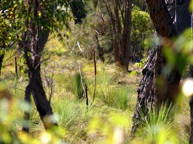 48a Cyril Road, High Wycombe WA 6057