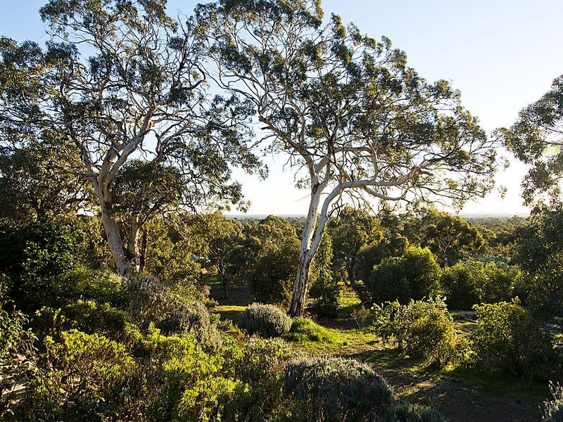 305 Holmes Road, Forrestfield WA 6058