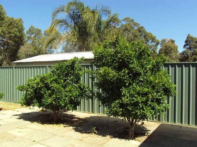 40 Feeney Gardens, High Wycombe WA 6057