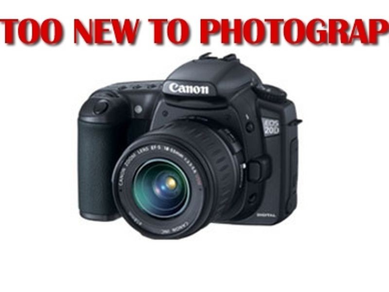 15 Merlin Way, Wattle Grove WA 6107