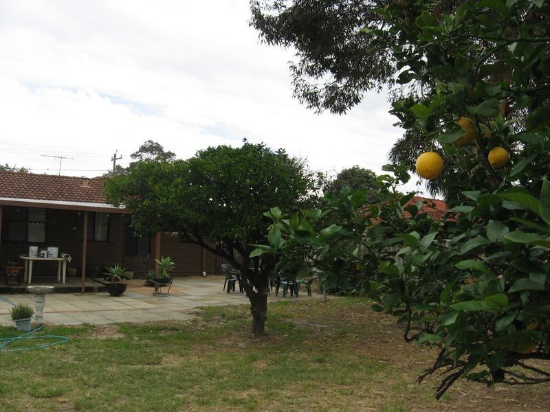 5 Kookaburra Road, High Wycombe WA 6057