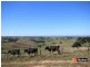 Lot 4 Craig Road, Ryanston VIC 3992