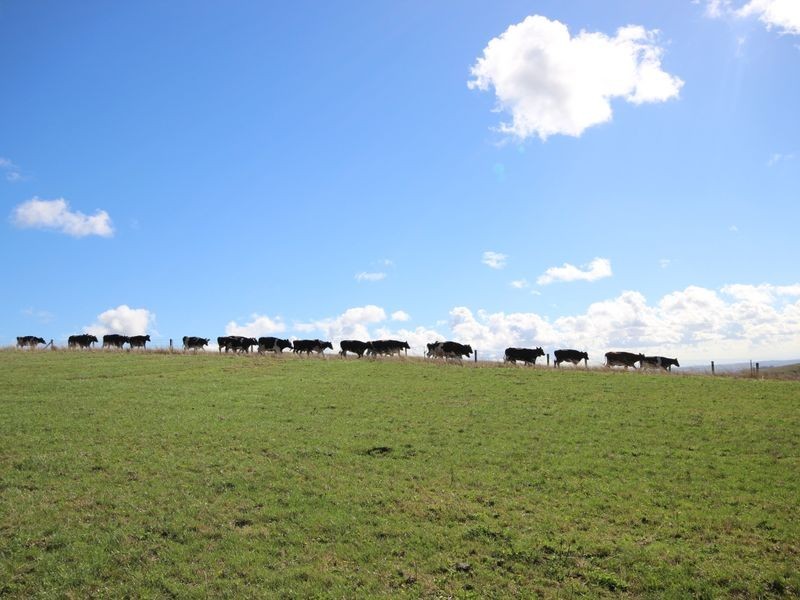 Lot 4 Craig Road, Ryanston VIC 3992