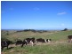 Lot 4 Craig Road, Ryanston VIC 3992